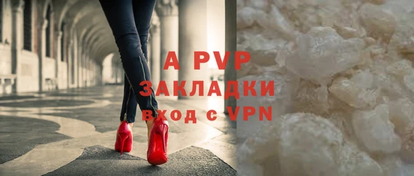 твердый Ростов