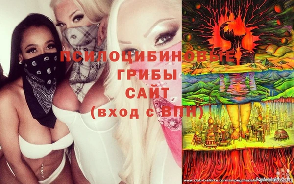 амф Балахна